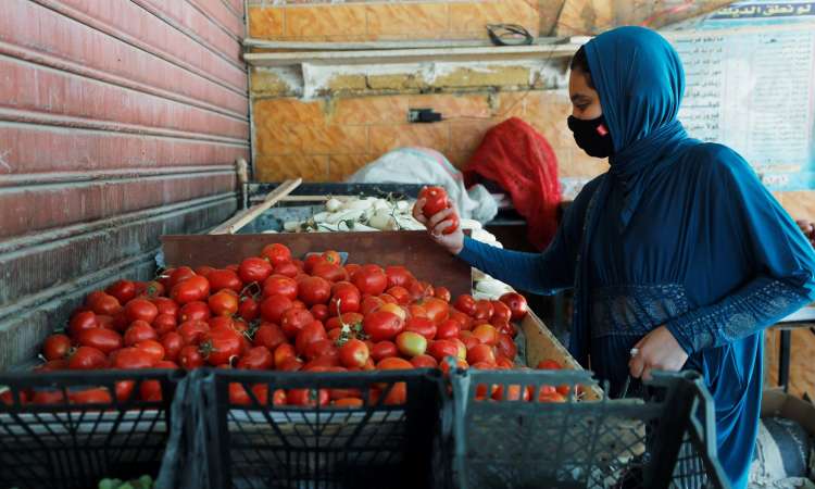 صورة أرشيفية 