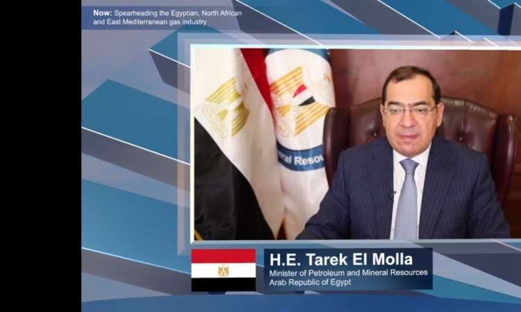 وزير البترول المهندس طارق الملا